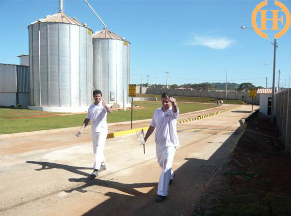 wheat flour making machine installed in Brazil