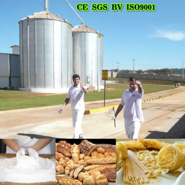 grain silo for wheat flour mill