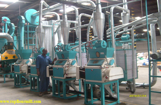 professional manufacturer for flour milling machine
