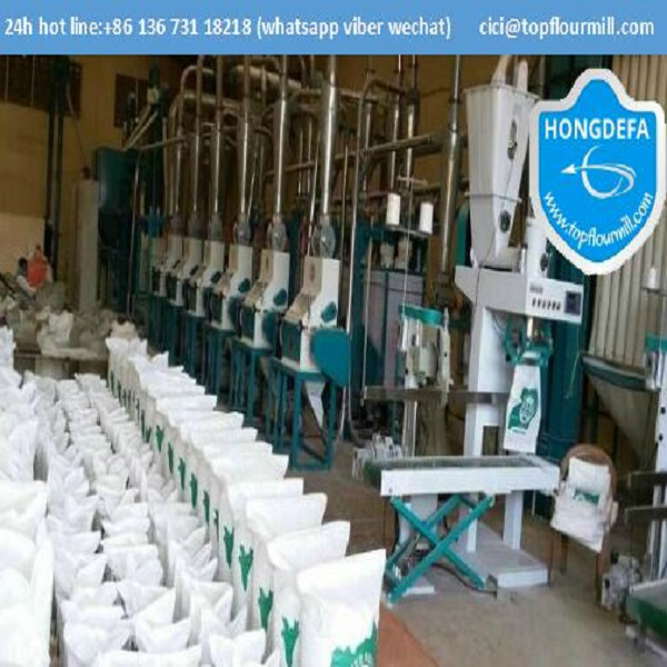 50t maize flour milling machine