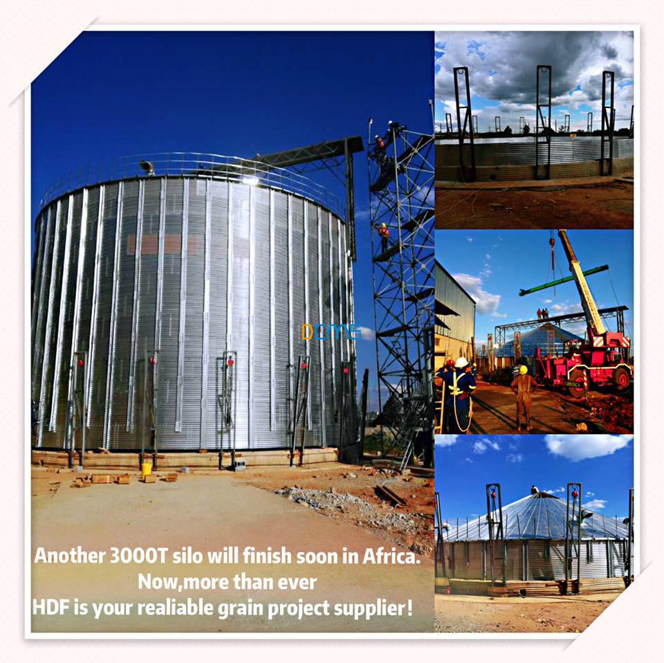 3000T maize silo install finish 
