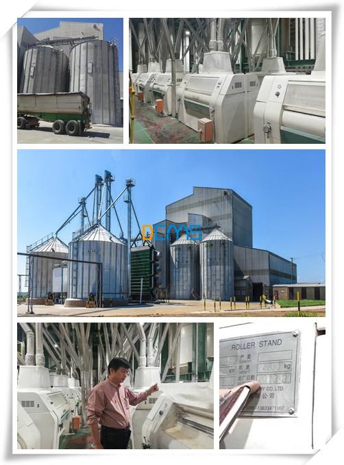 1500t maize mill project running so Good